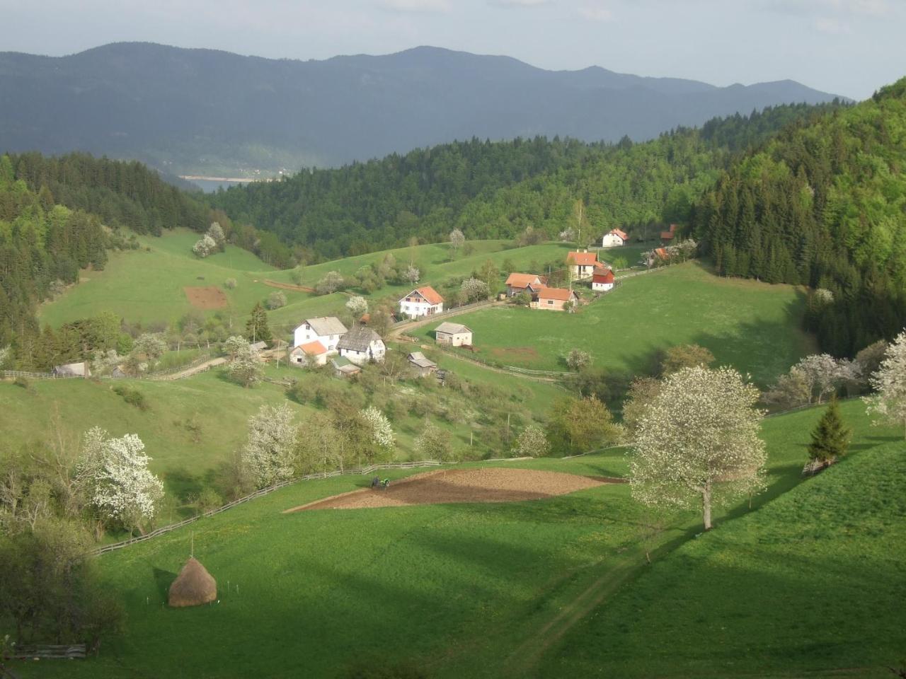 Planinski Mir Zaovine Exterior photo