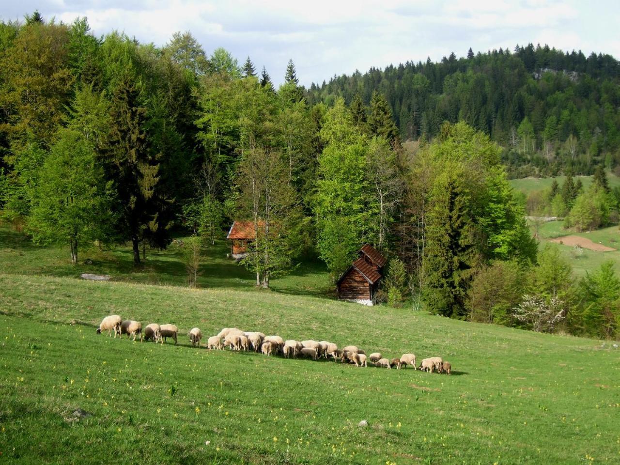 Planinski Mir Zaovine Exterior photo